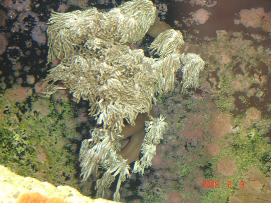 DSC02883.jpg