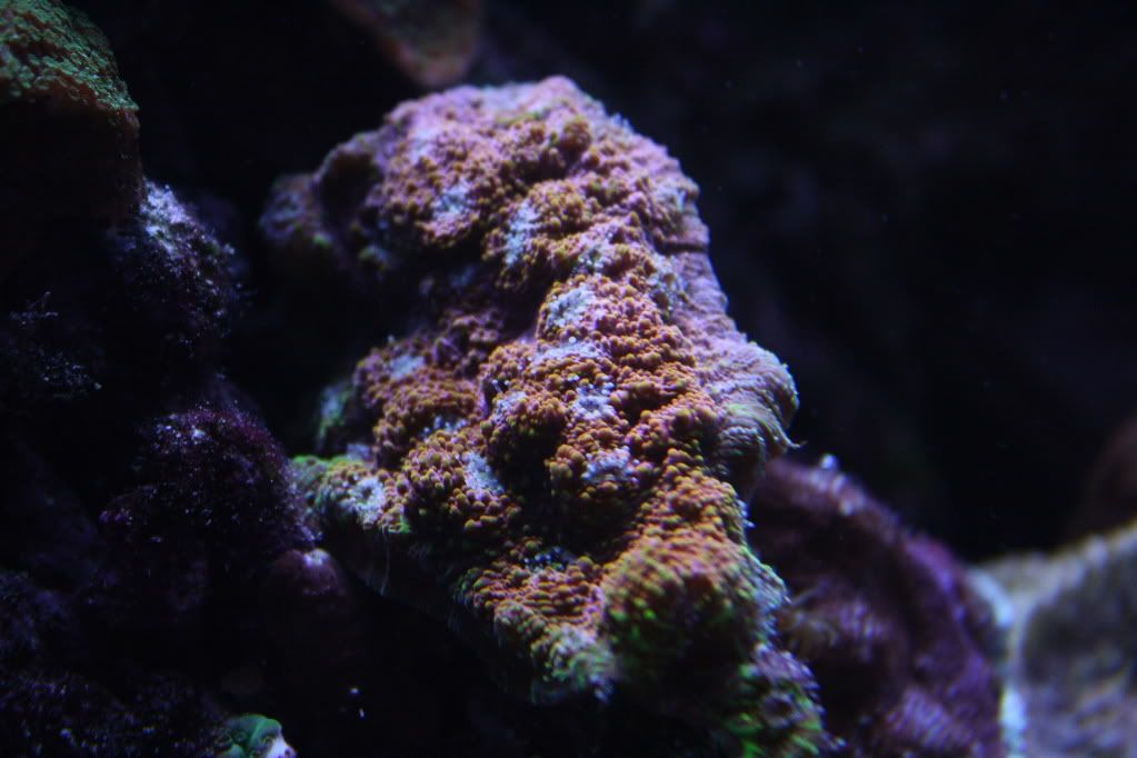 IMG_7889.jpg