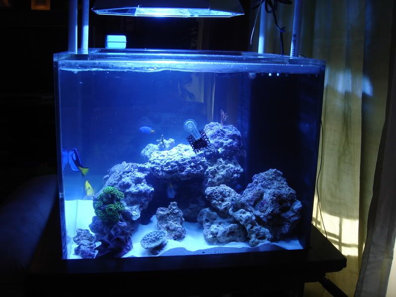 2008_0323100g-square0013.jpg