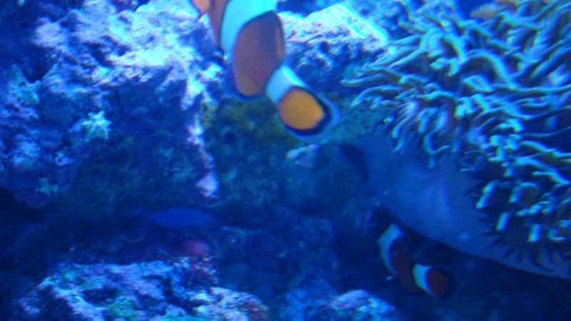DSC04053.jpg