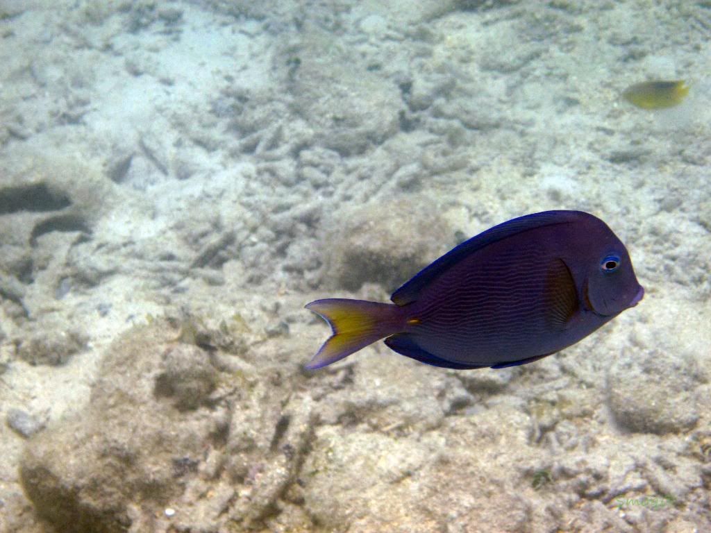 IMG_0548.jpg