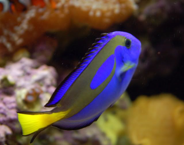 65g015.jpg