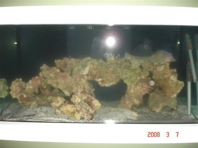 DSC01590Small.jpg