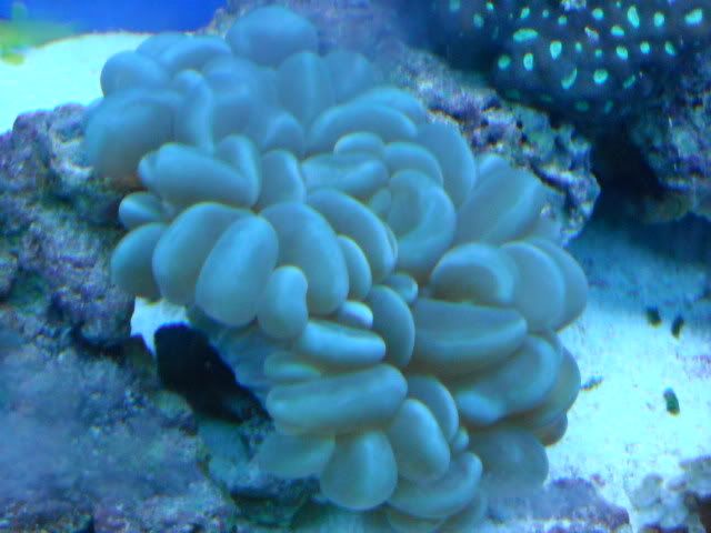 DSCN0696.jpg