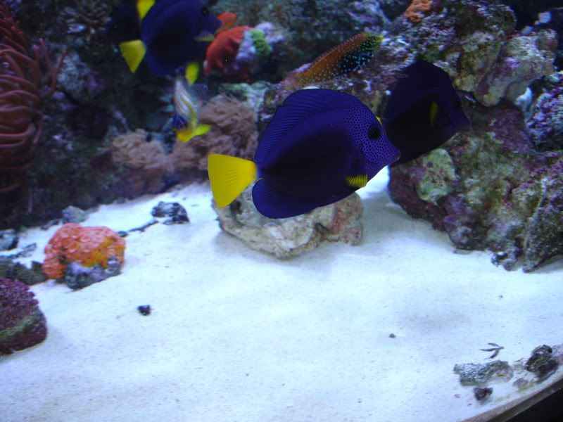 DSC01156.jpg
