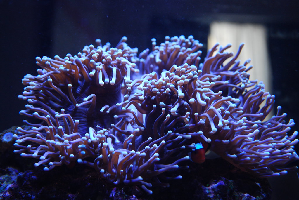 6783104364_bfd0f64d42_b.jpg