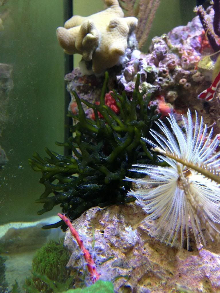 IMG_6711_zps59d00db2.jpg