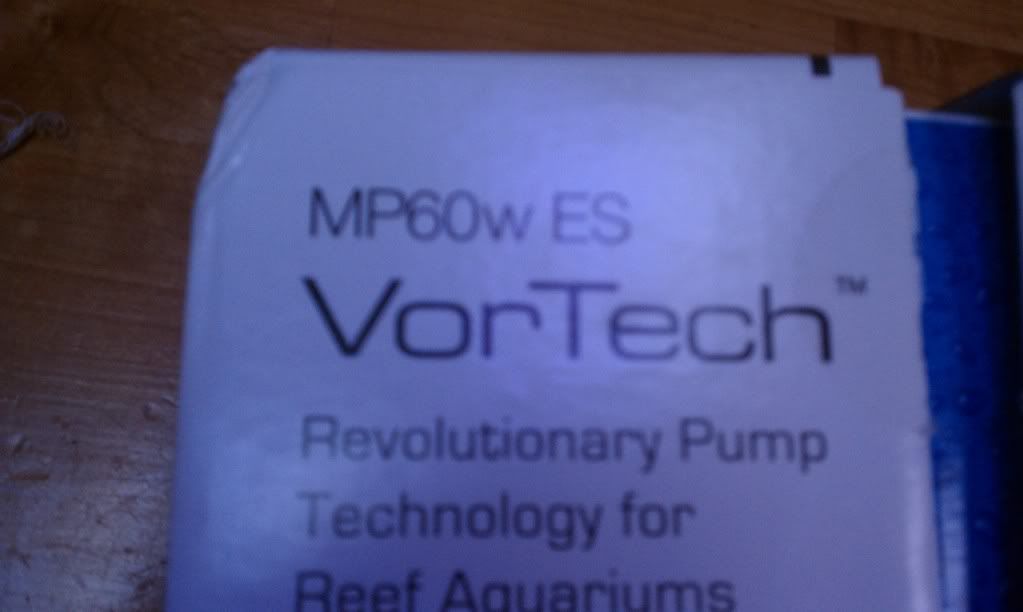 IMAG0473.jpg