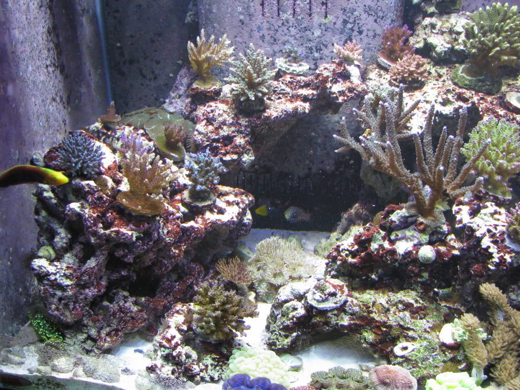 IMG_0172.jpg