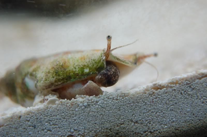 DSC_0433.jpg