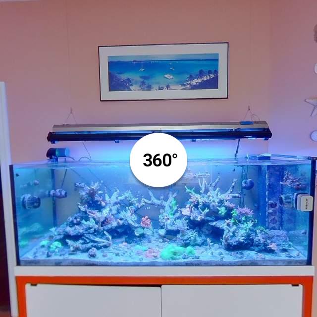 kuula.co