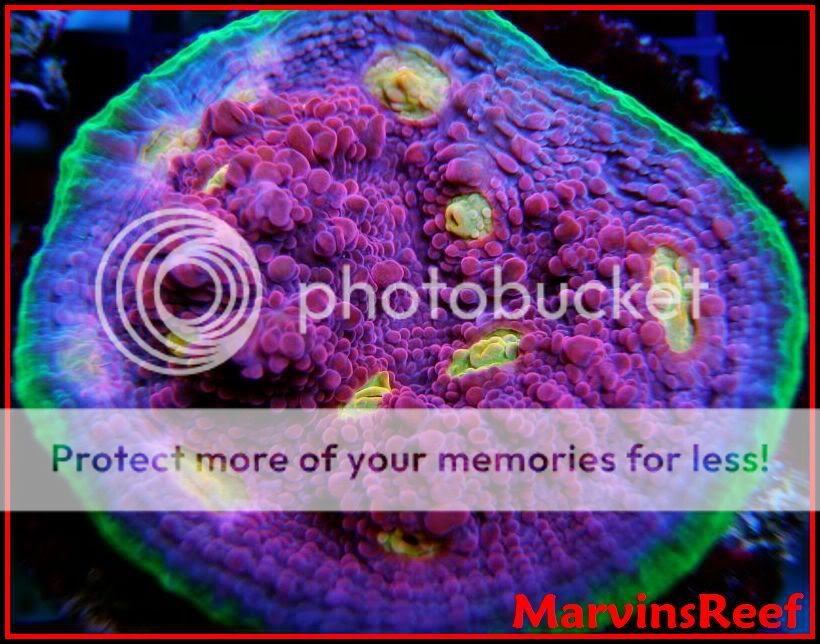 02-01-2010_4Color.jpg
