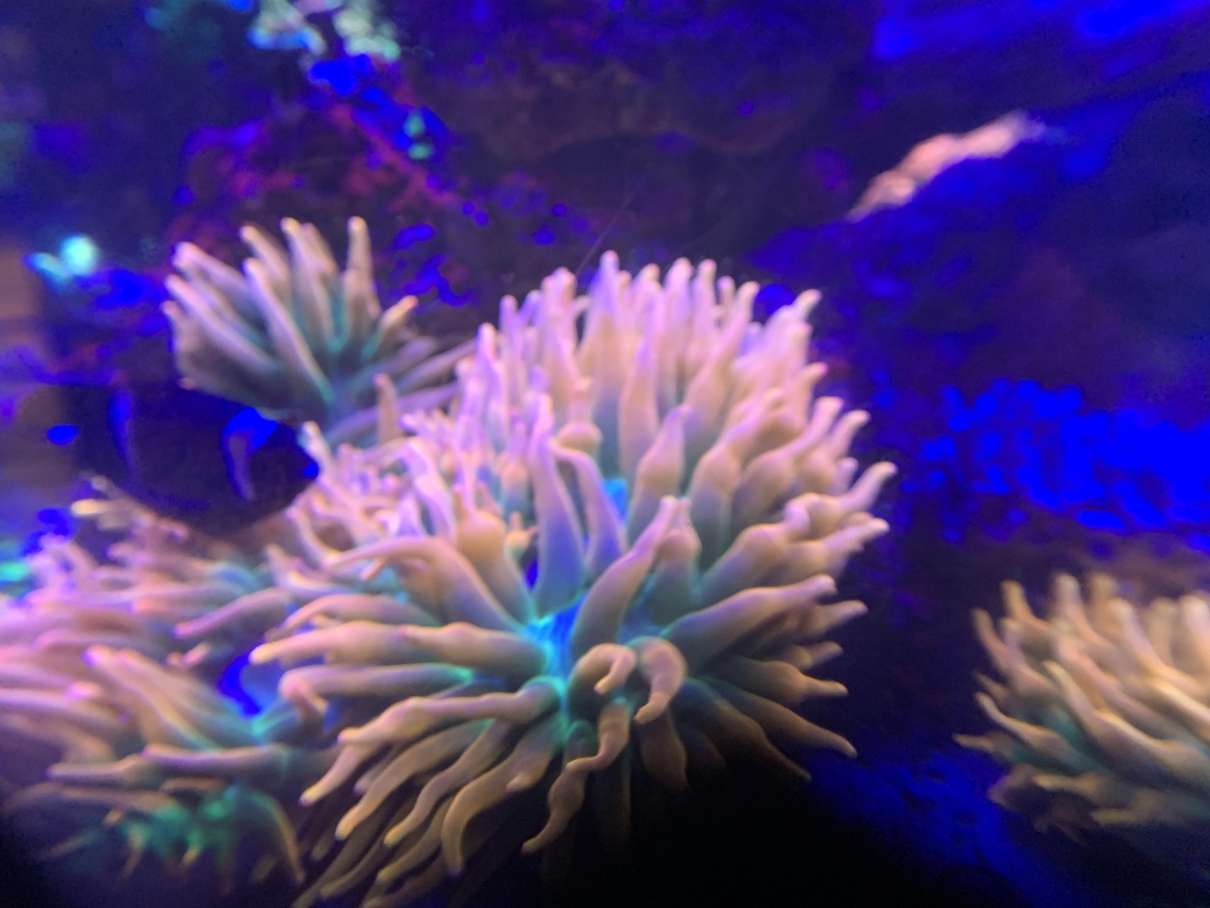 4e3c8ff5e86603ed8ba9ccc6c376ac89.jpg