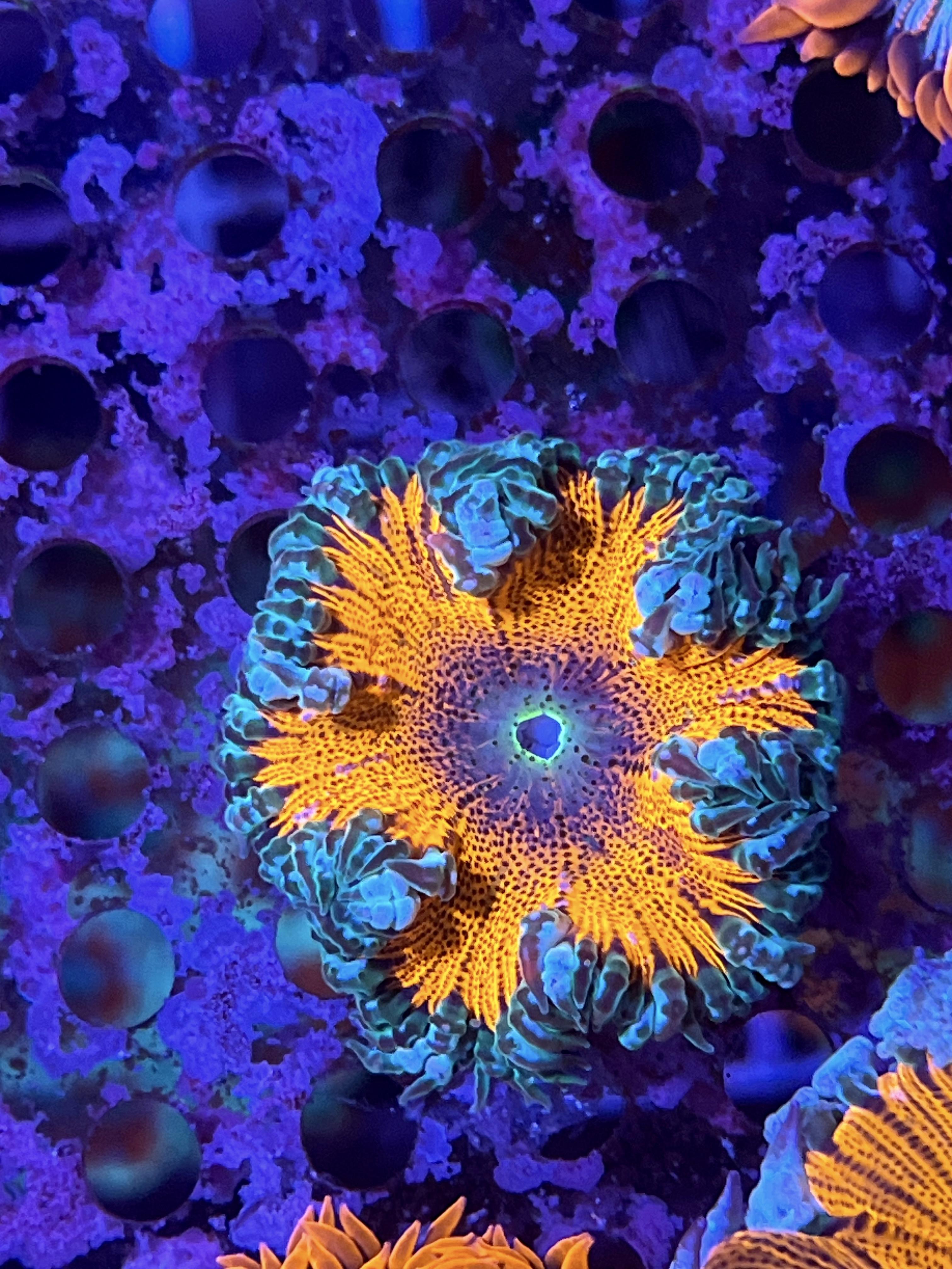 0624f39a821fb76a034a47b18ea5bcd9.jpg