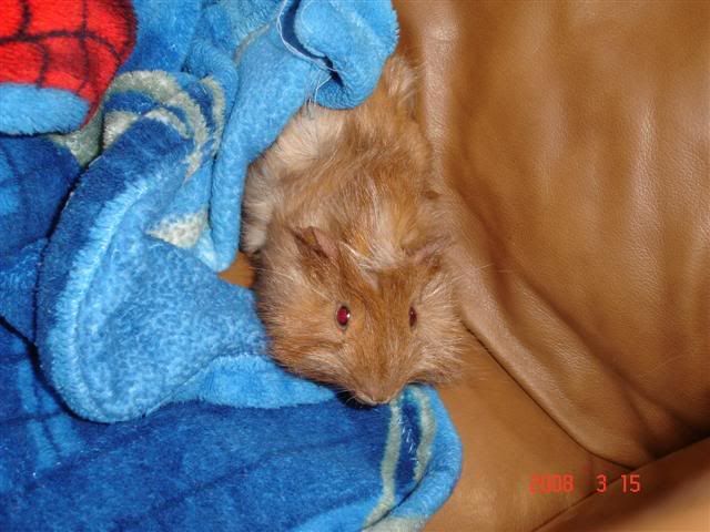 DSC01651Small.jpg