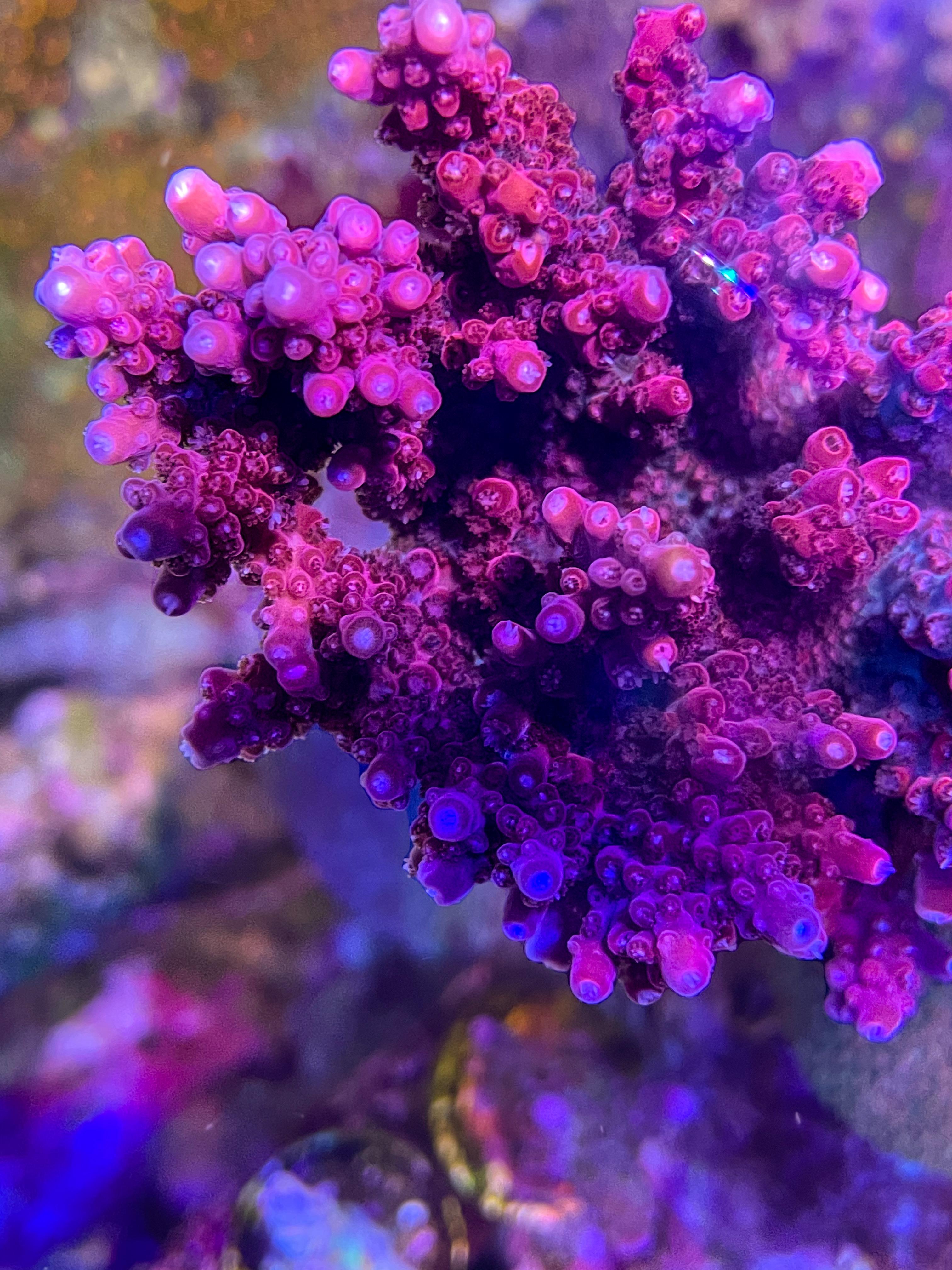 e384654c8ed913d0db7ad06d88653296.jpeg