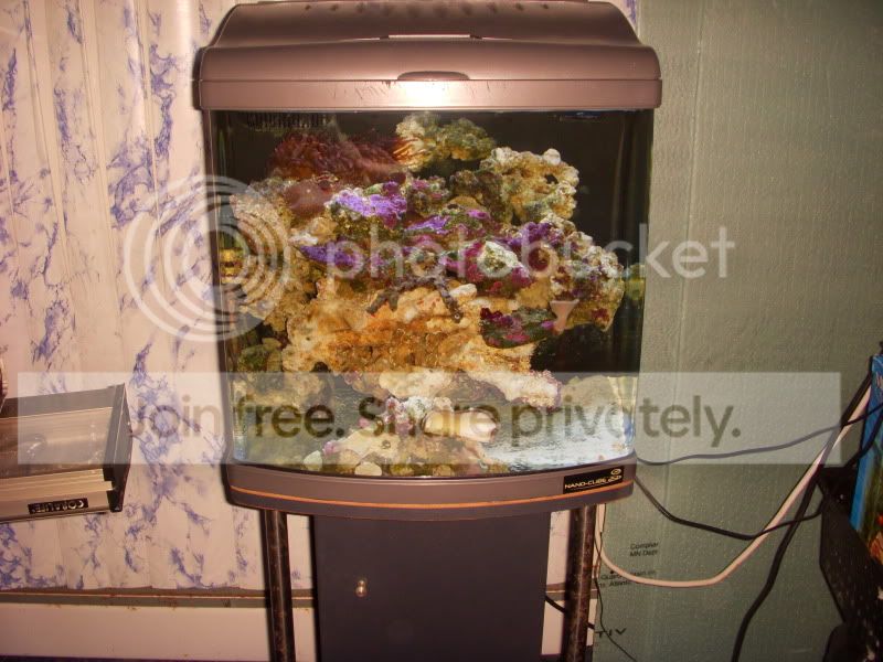 johnscamera007-1.jpg