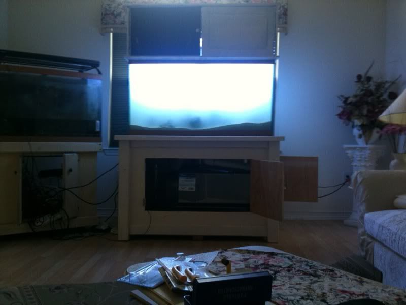 photo6.jpg