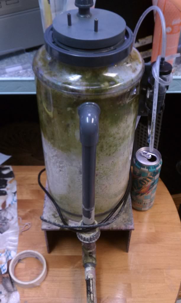 IMAG0483.jpg