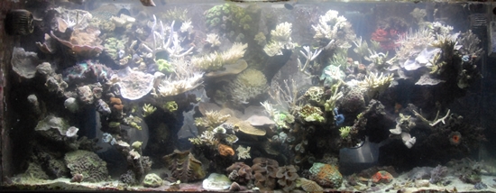 ASC_0109_full_2008_dec.jpg