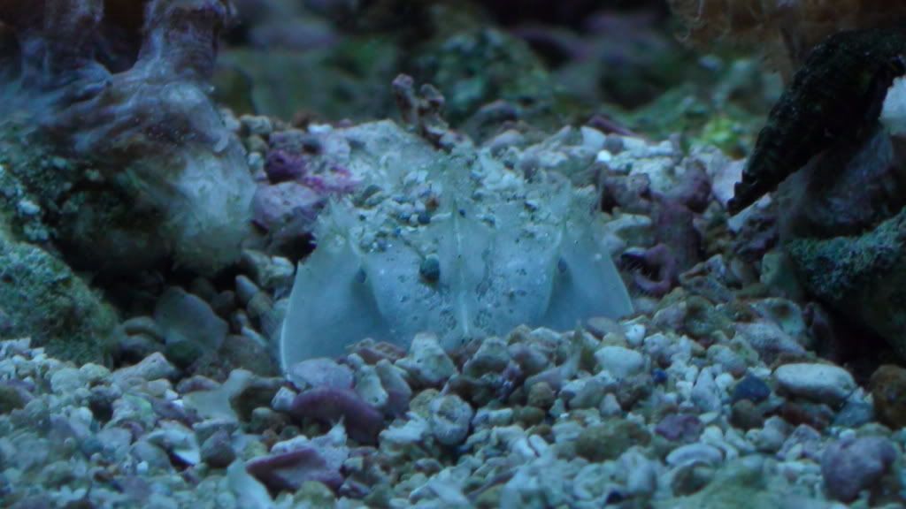DSC00394.jpg