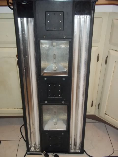 FishTankLight004.jpg