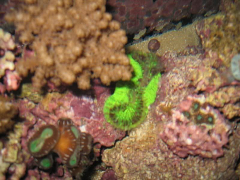 2-23-07February011.jpg