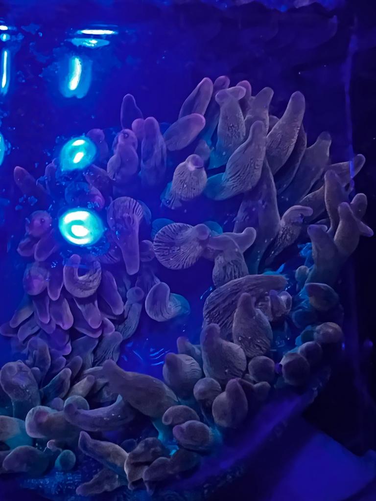 f08886fa6874104a4d91b48c965b4393.jpg