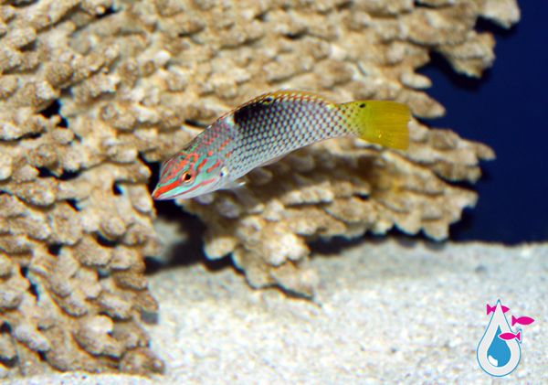 IMG_0219_zps02a6ec8b.jpg
