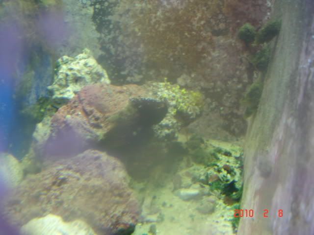 DSC03153.jpg