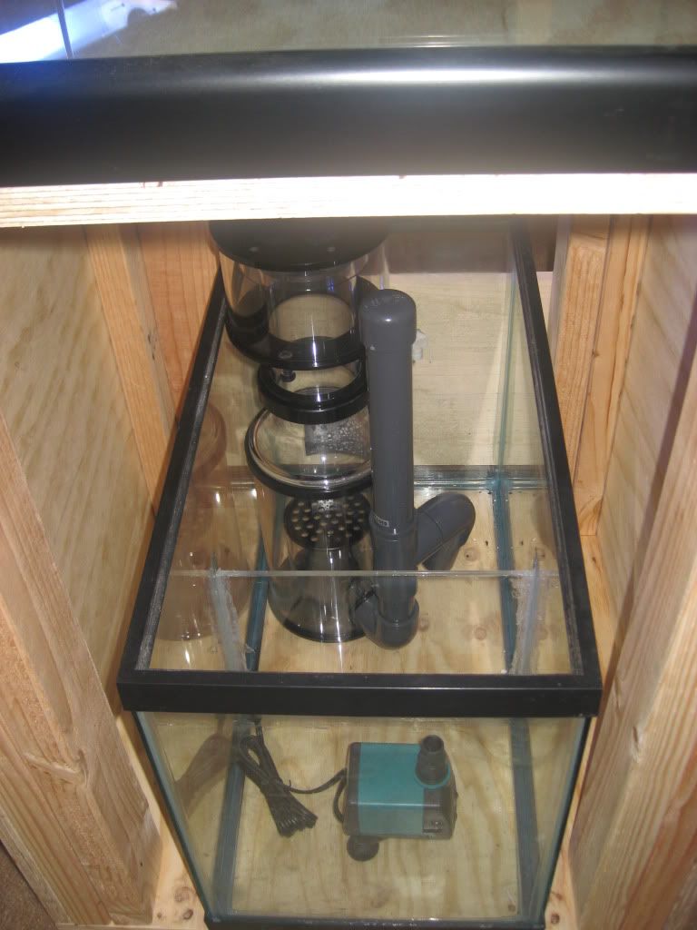 002-5.jpg