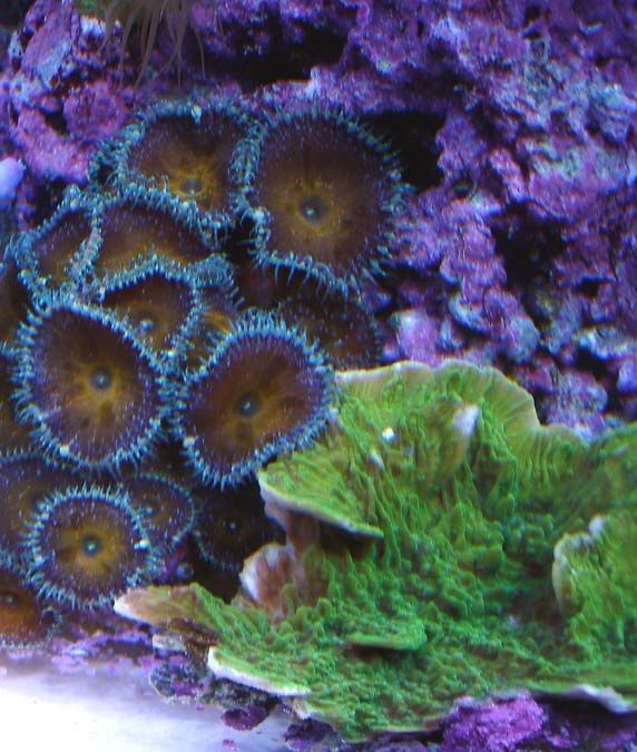 120-1-05-ll.jpg
