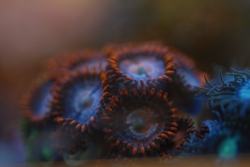 DSC_0164.jpg