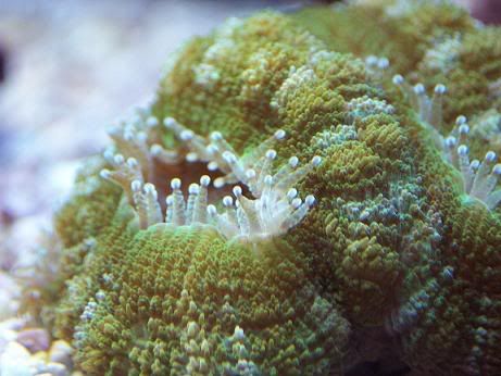 100_1064.jpg