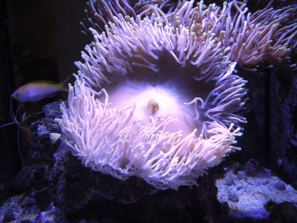 DSCF0314.jpg