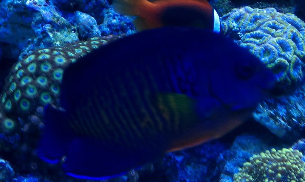 IMAG0210.jpg