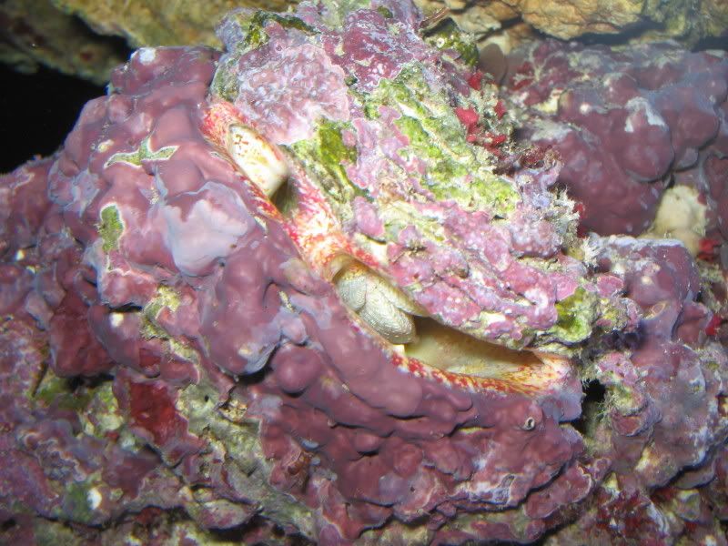 6f458b3f.jpg