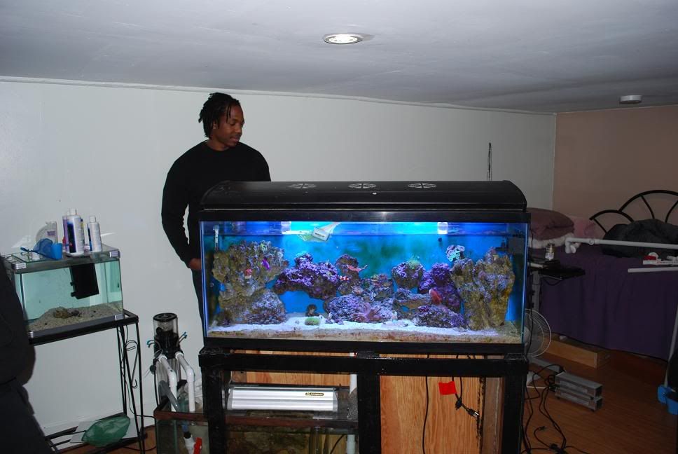 pic1moving.jpg