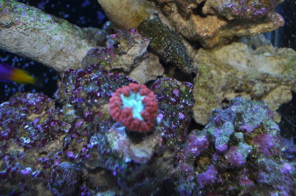 DSC_0165.jpg
