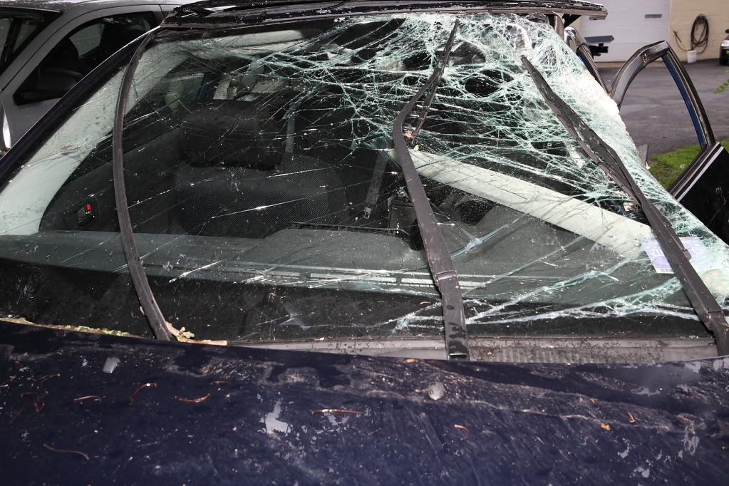 accident0005.jpg