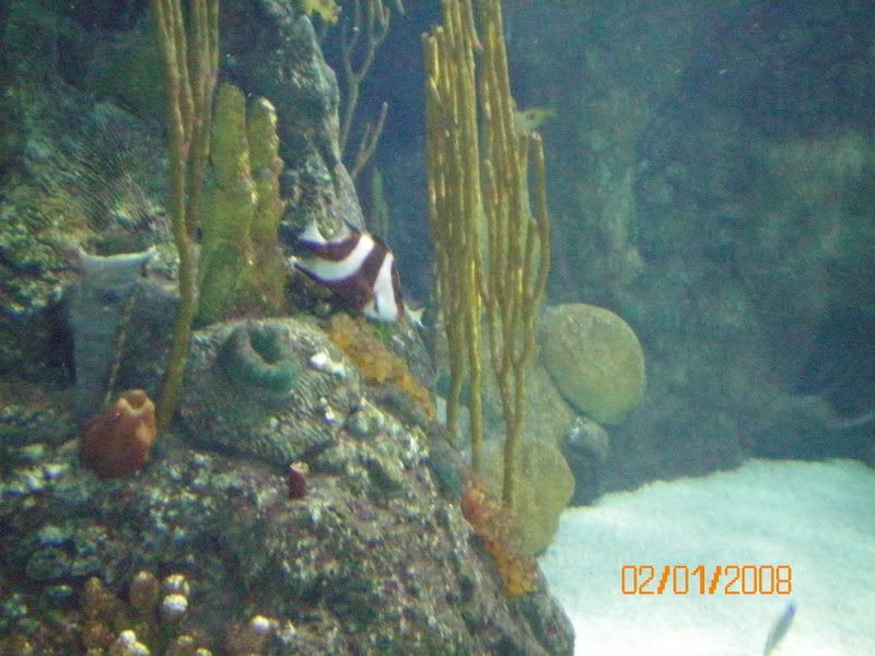 100_0122.jpg