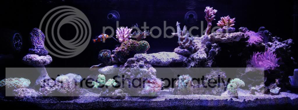 Nuvo24_072613__zps907acb3a.jpg