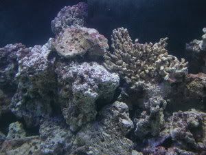 DSCN2634.jpg