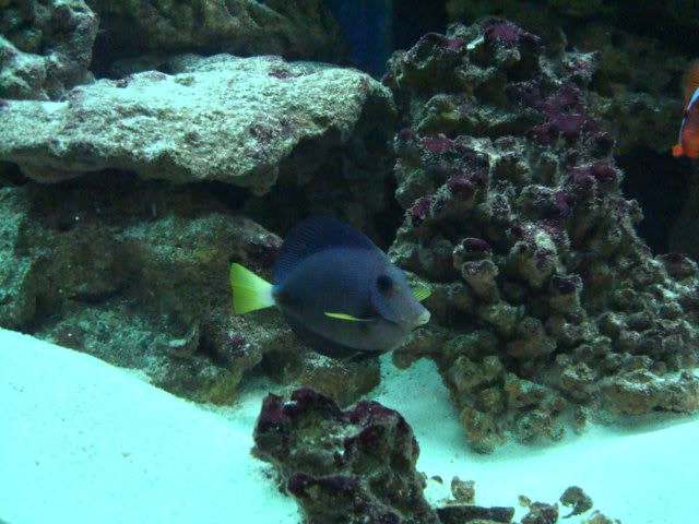 DSC03855.jpg