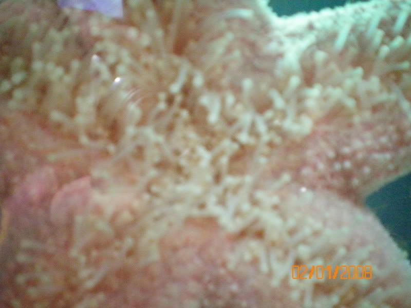 100_0129.jpg