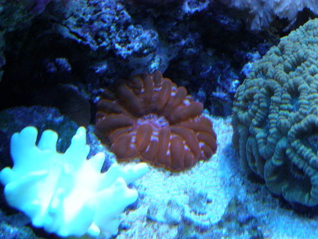 P9190016.jpg
