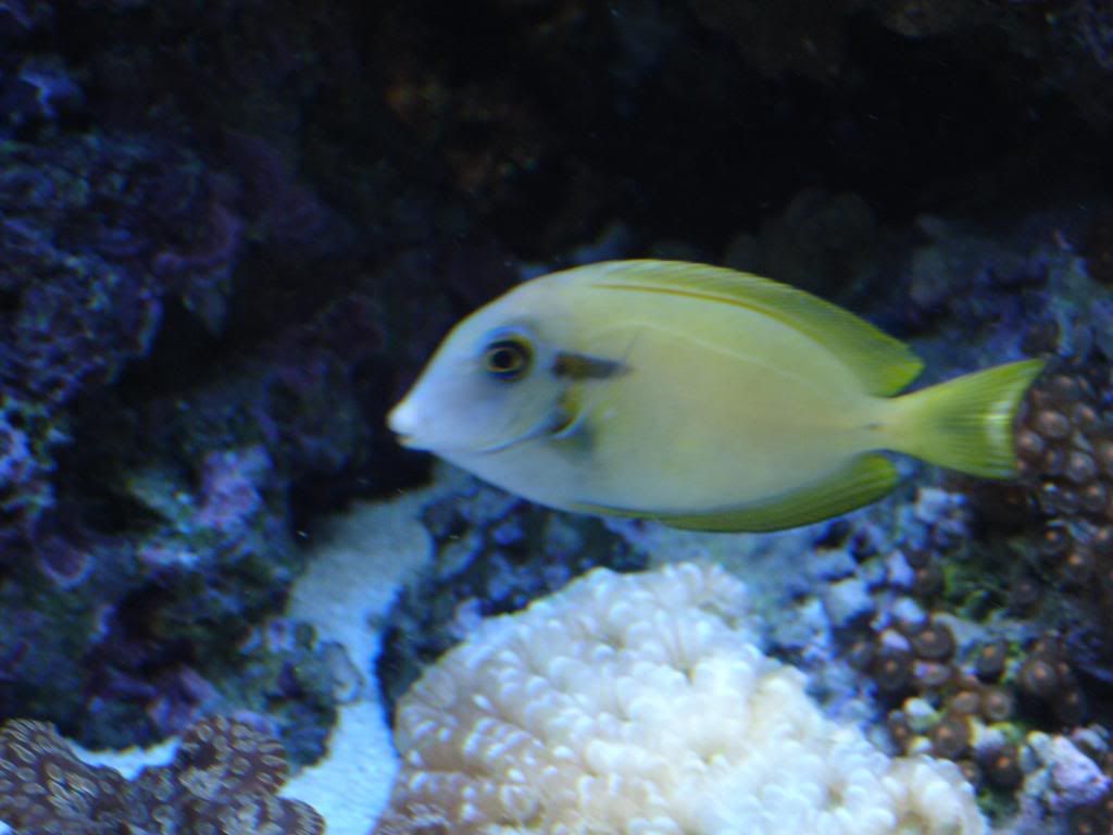 DSC04652.jpg