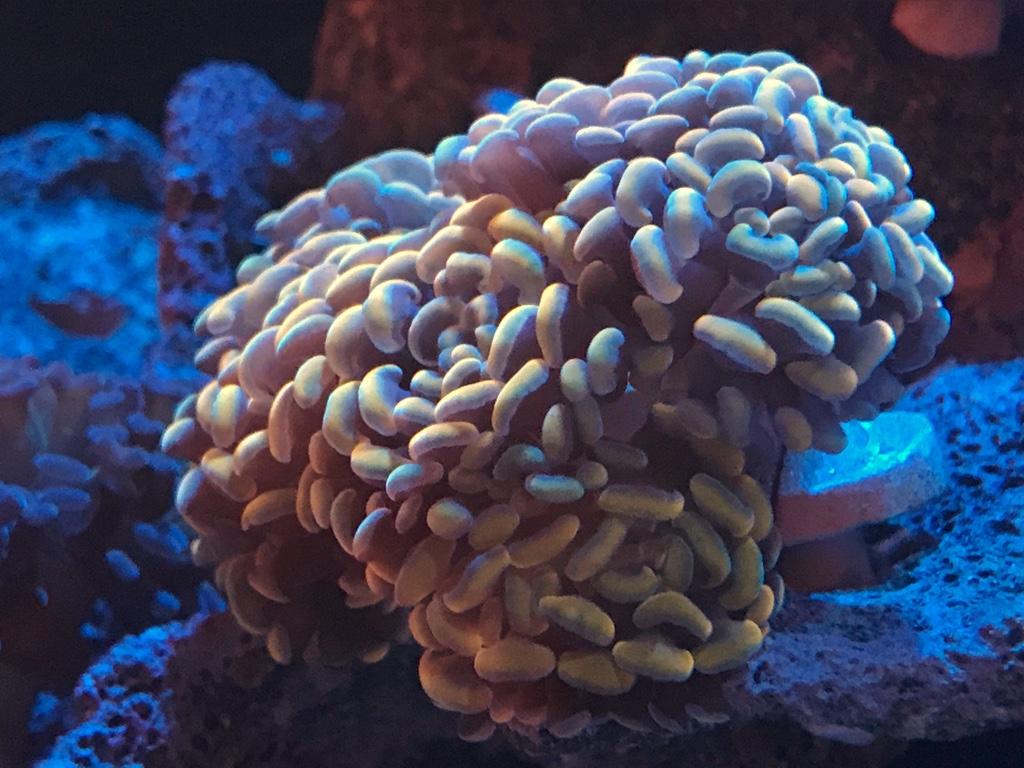 f58fd59361f7705fdde94e1dfdc13efa.jpg