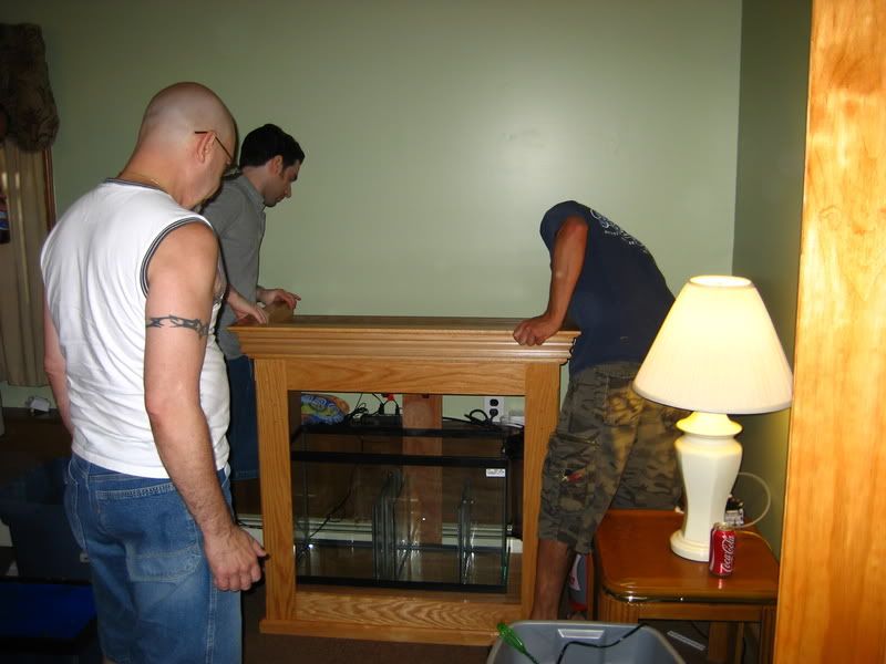 IMG_0987.jpg