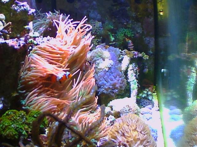 20140811_151501_00_zpsfe4f57e8.jpg